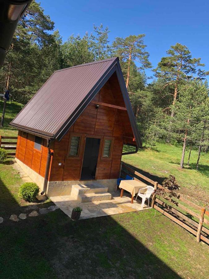 Apartmani Tornik-Planinska Kuca Zdravkovic Dobroselica Eksteriør billede